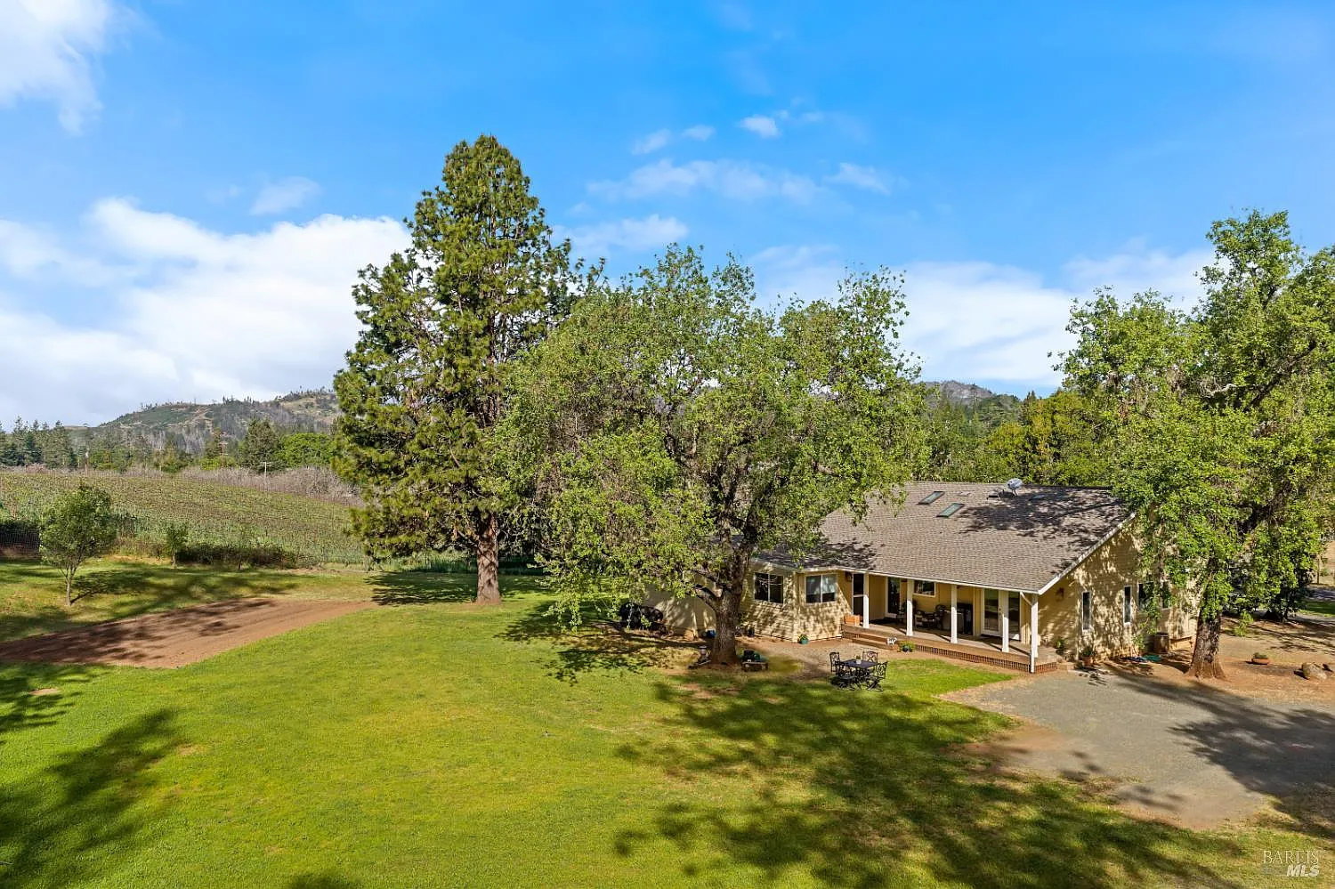 539 Keyes Avenue - Photo 3