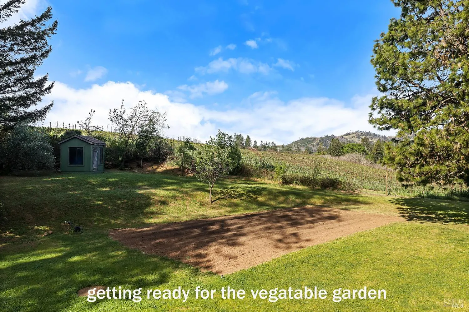 539 Keyes Avenue - Photo 4
