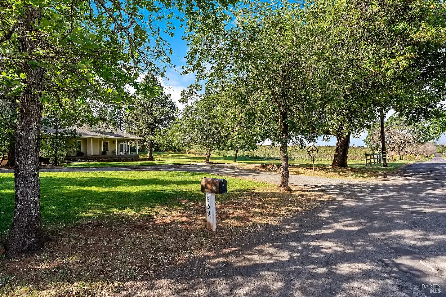 539 Keyes Avenue - Photo 5