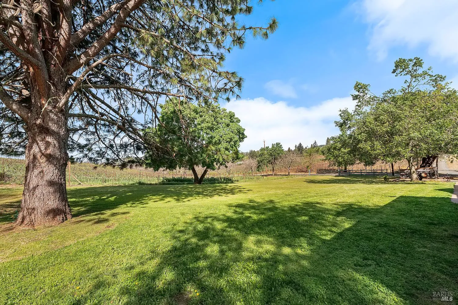 539 Keyes Avenue - Photo 7