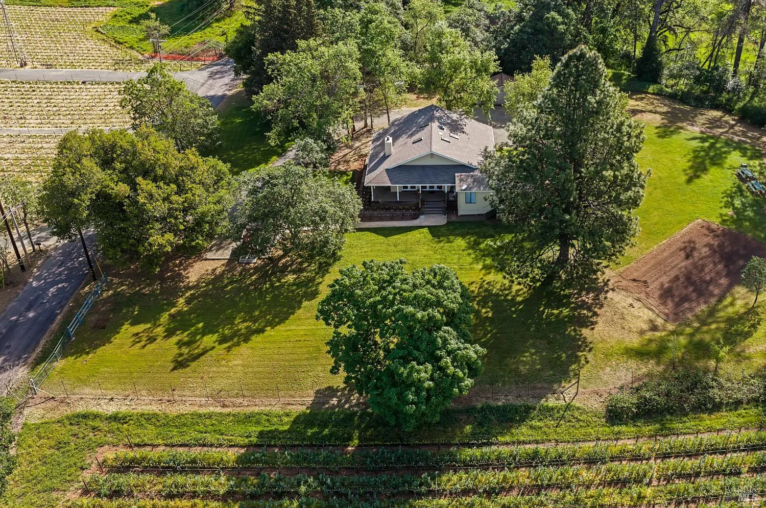 539 Keyes Avenue - Photo 9