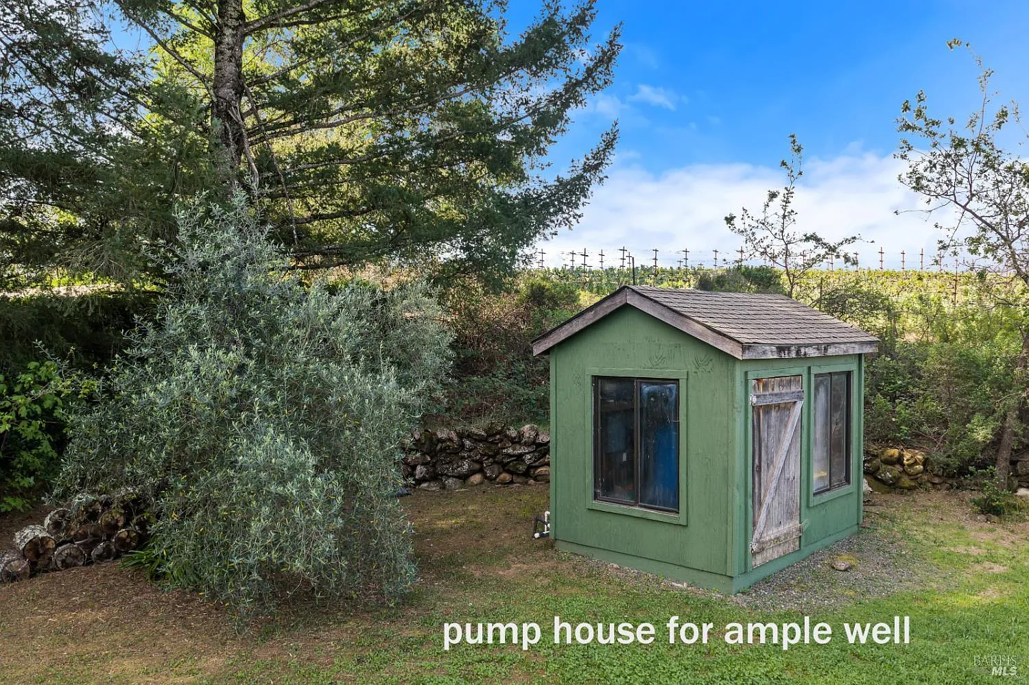 539 Keyes Avenue - Photo 10
