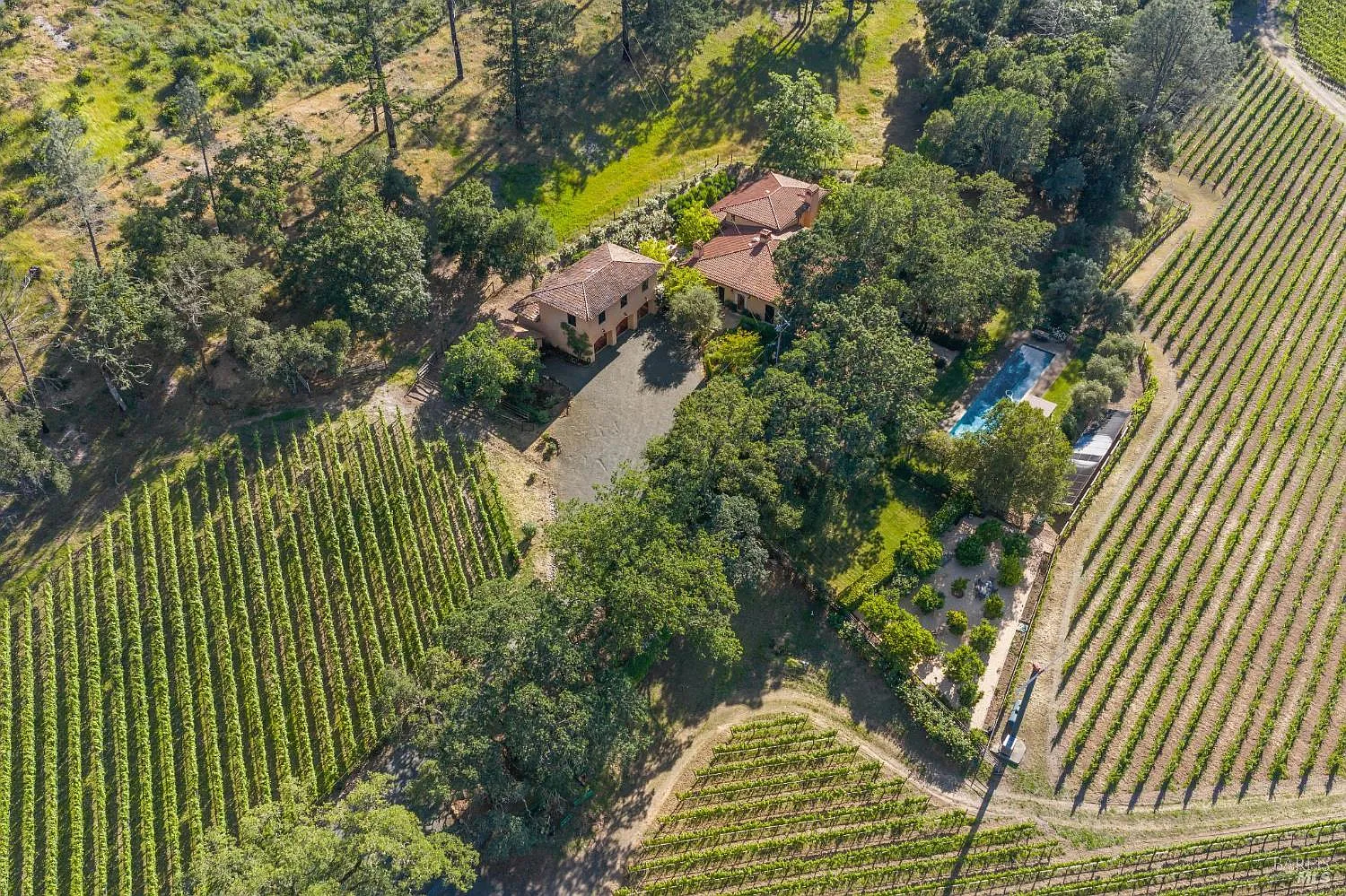 391 Crystal Springs Road - Photo 2