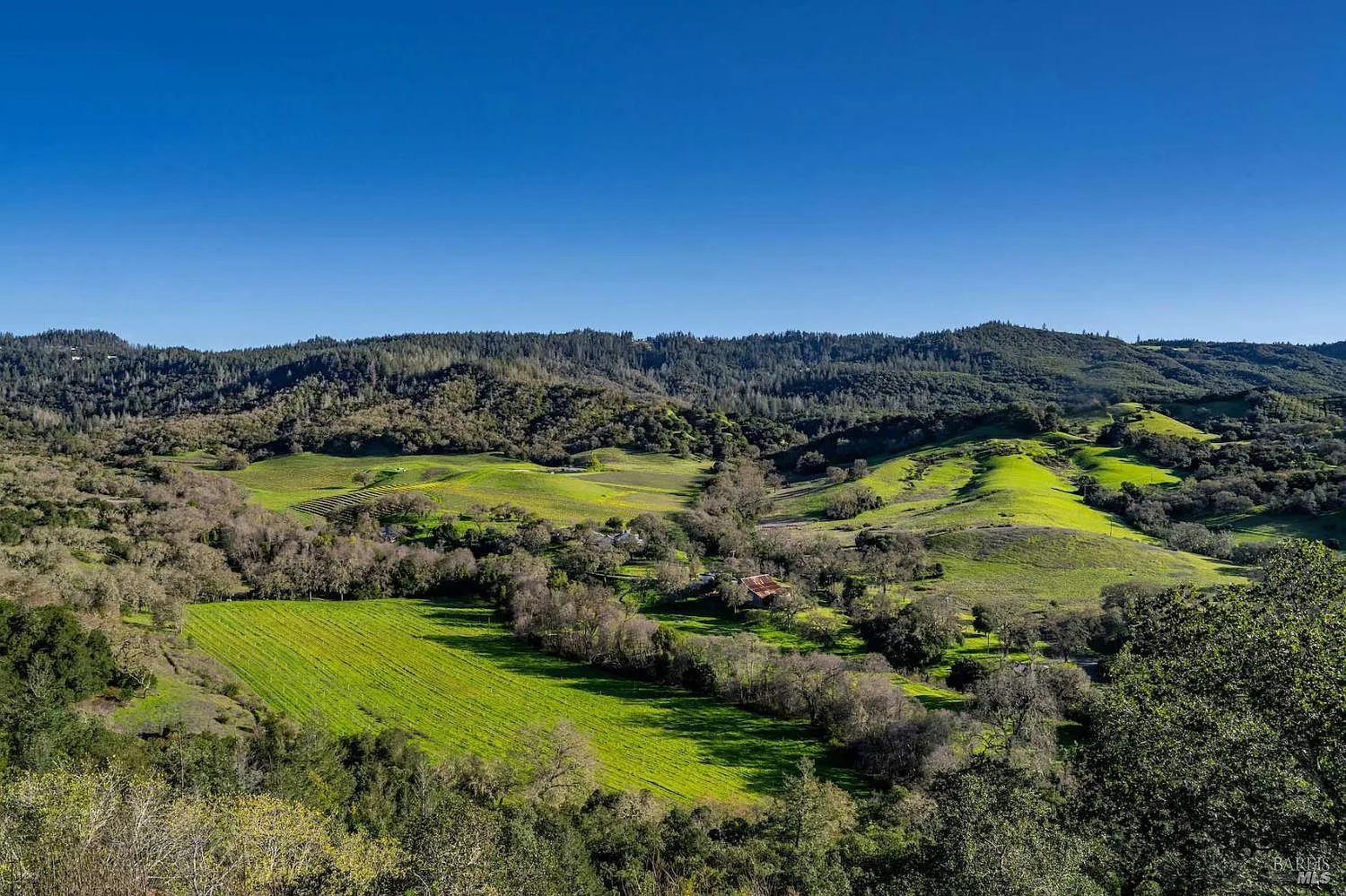 750 Conn Valley Road - Photo 2