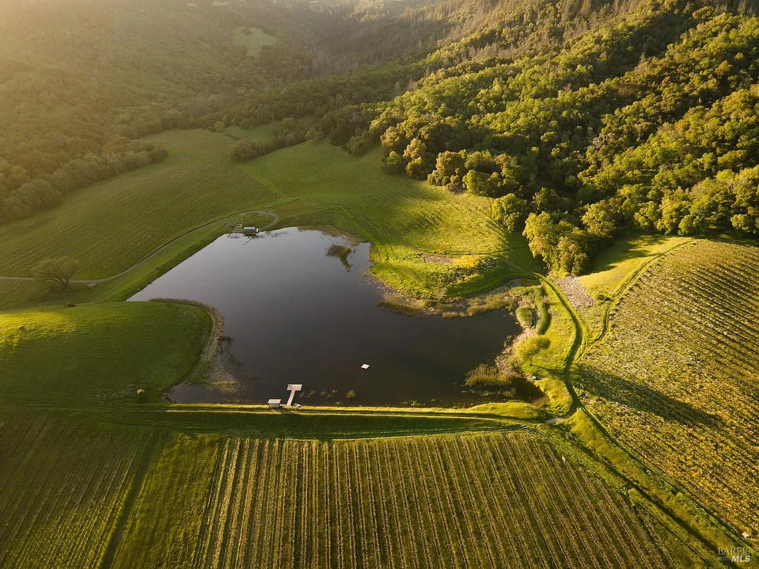 750 Conn Valley Road - Photo 4