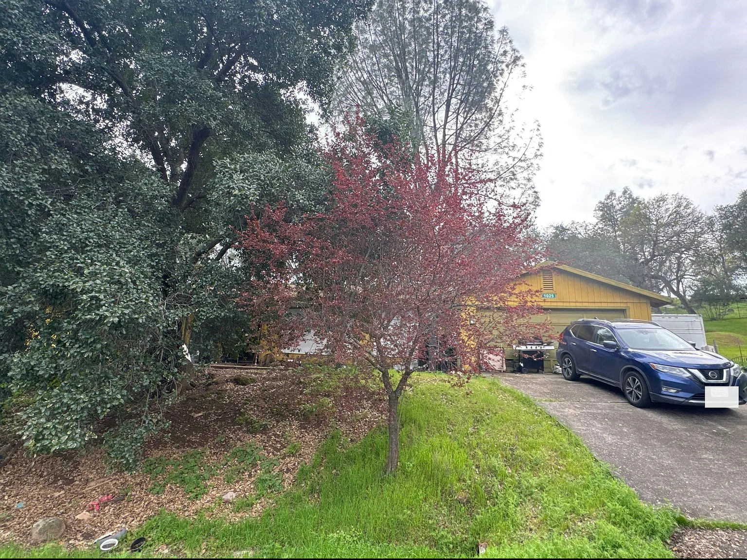 1025 Bridle St - Photo 1