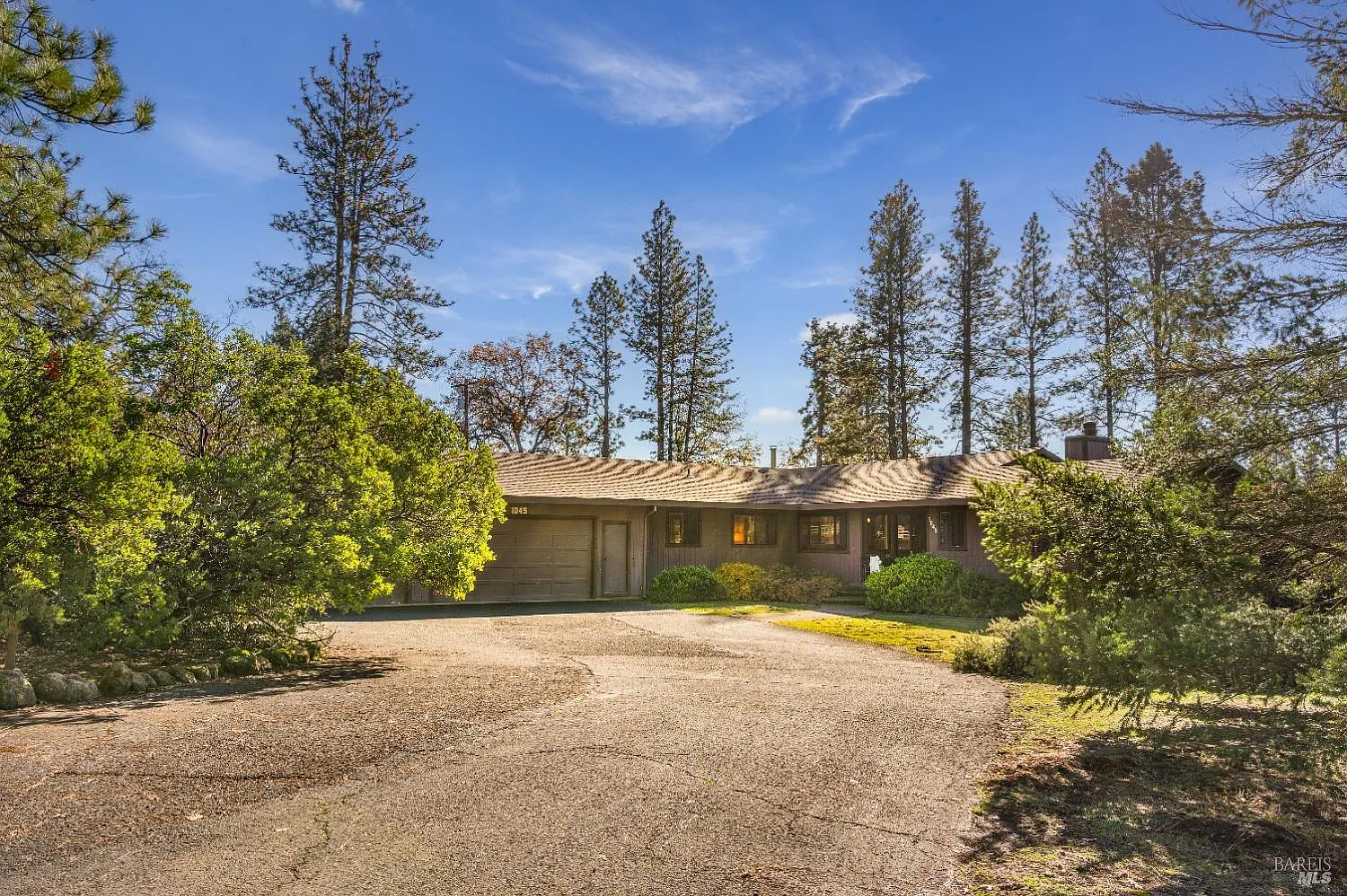 1045 Summit Lake Drive - Photo 3