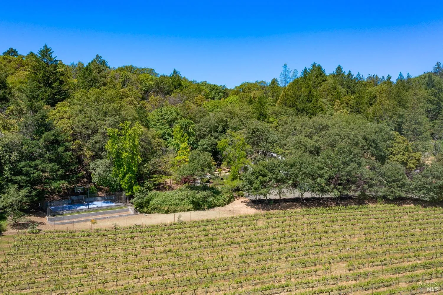 1275 Summit Lake Drive - Photo 10