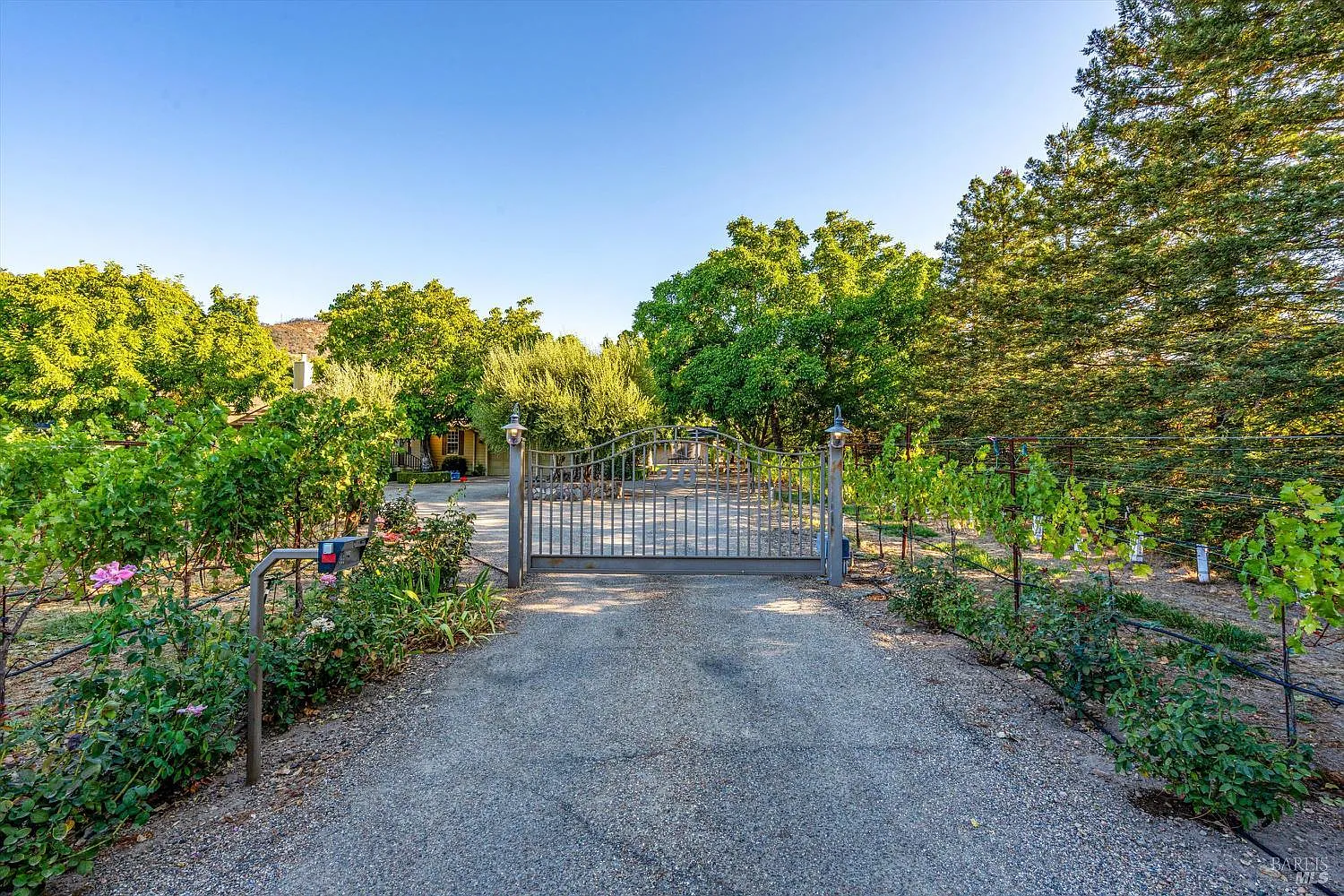 20 Rosedale Road - Photo 2