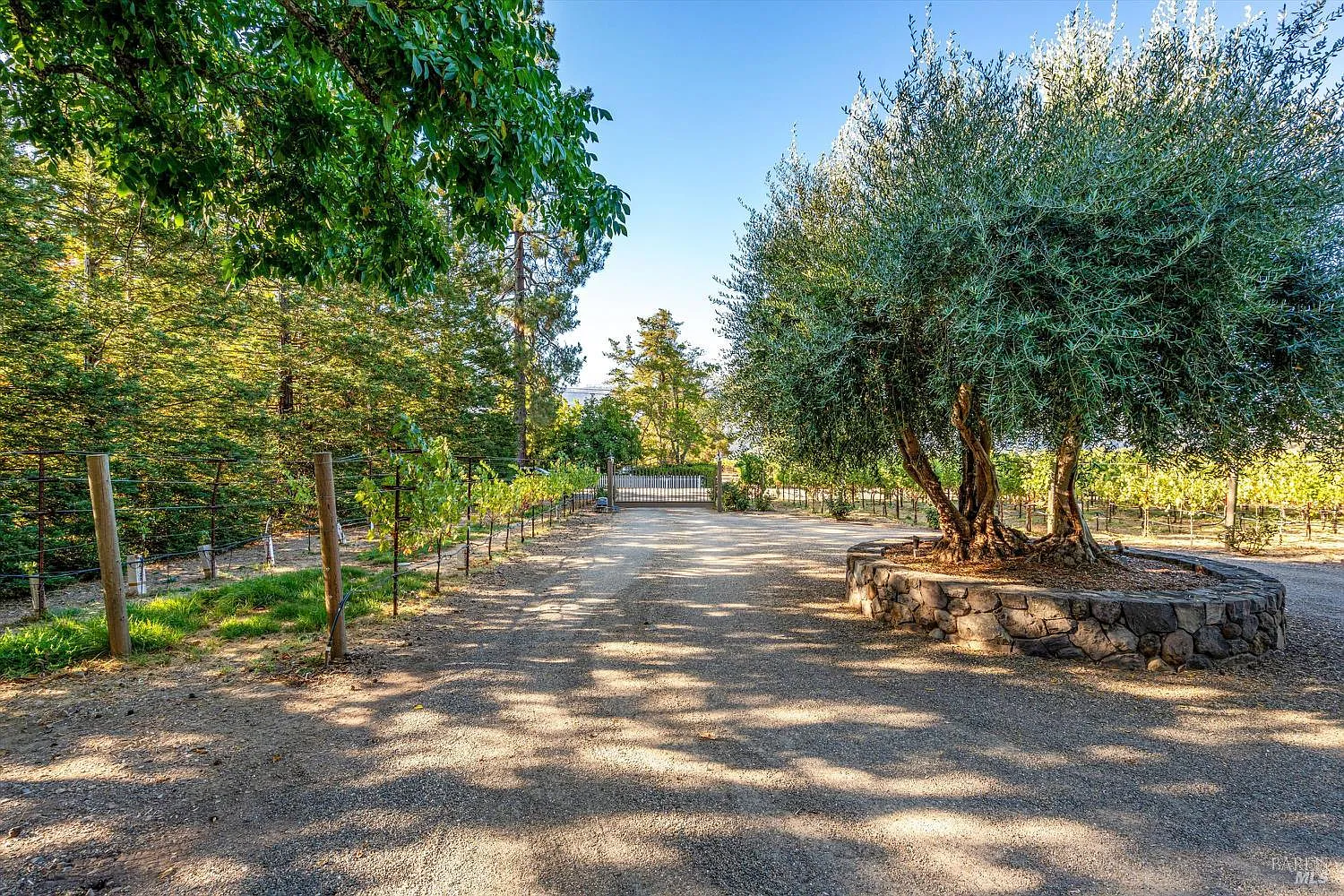 20 Rosedale Road - Photo 3