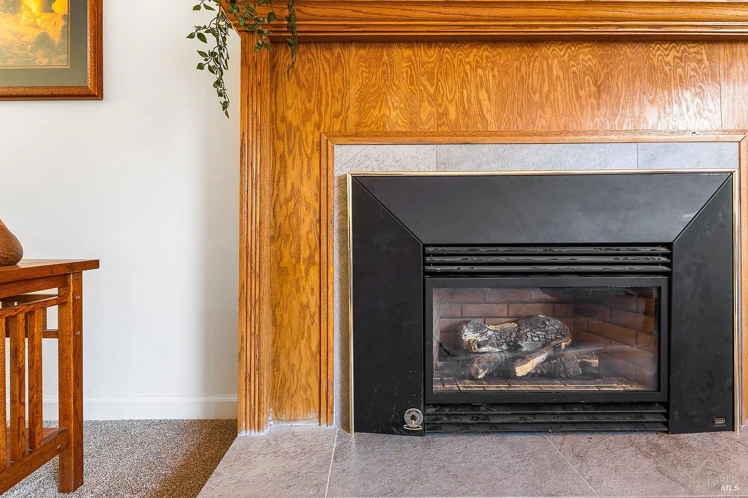 420 Sky Oaks Drive - Photo 11