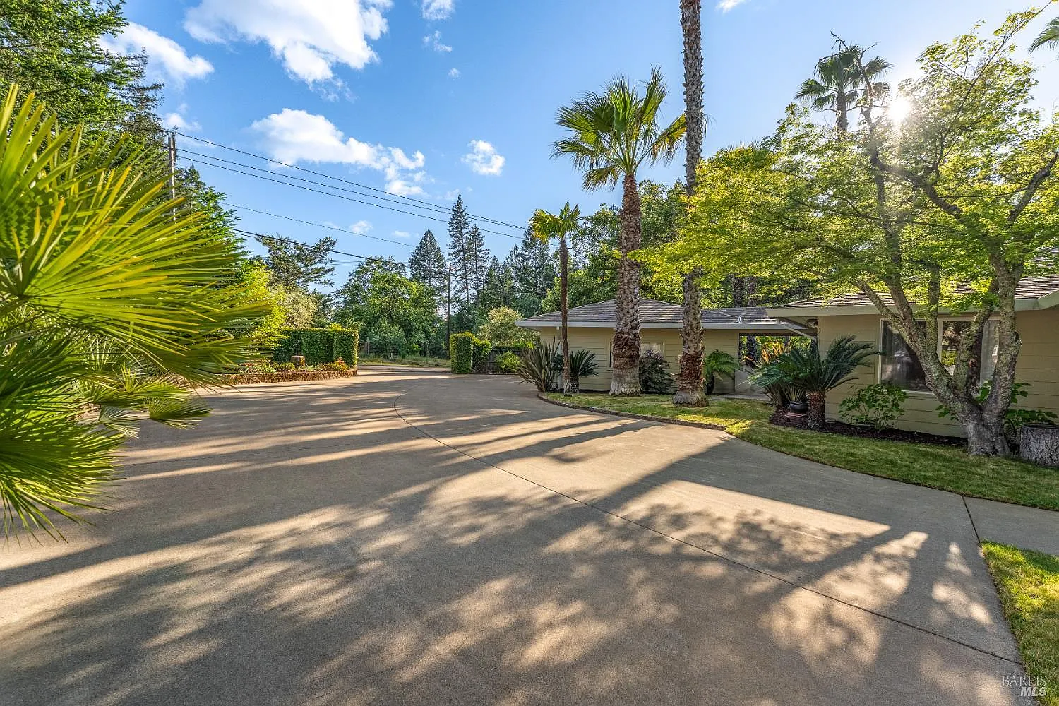 541 Sunset Drive - Photo 3