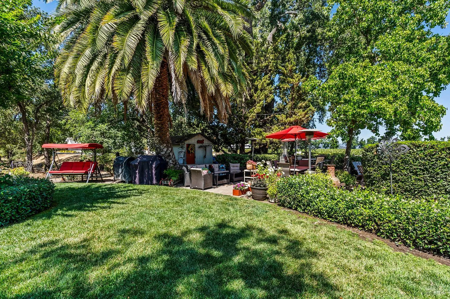 1225 Oakville Grade Road - Photo 4