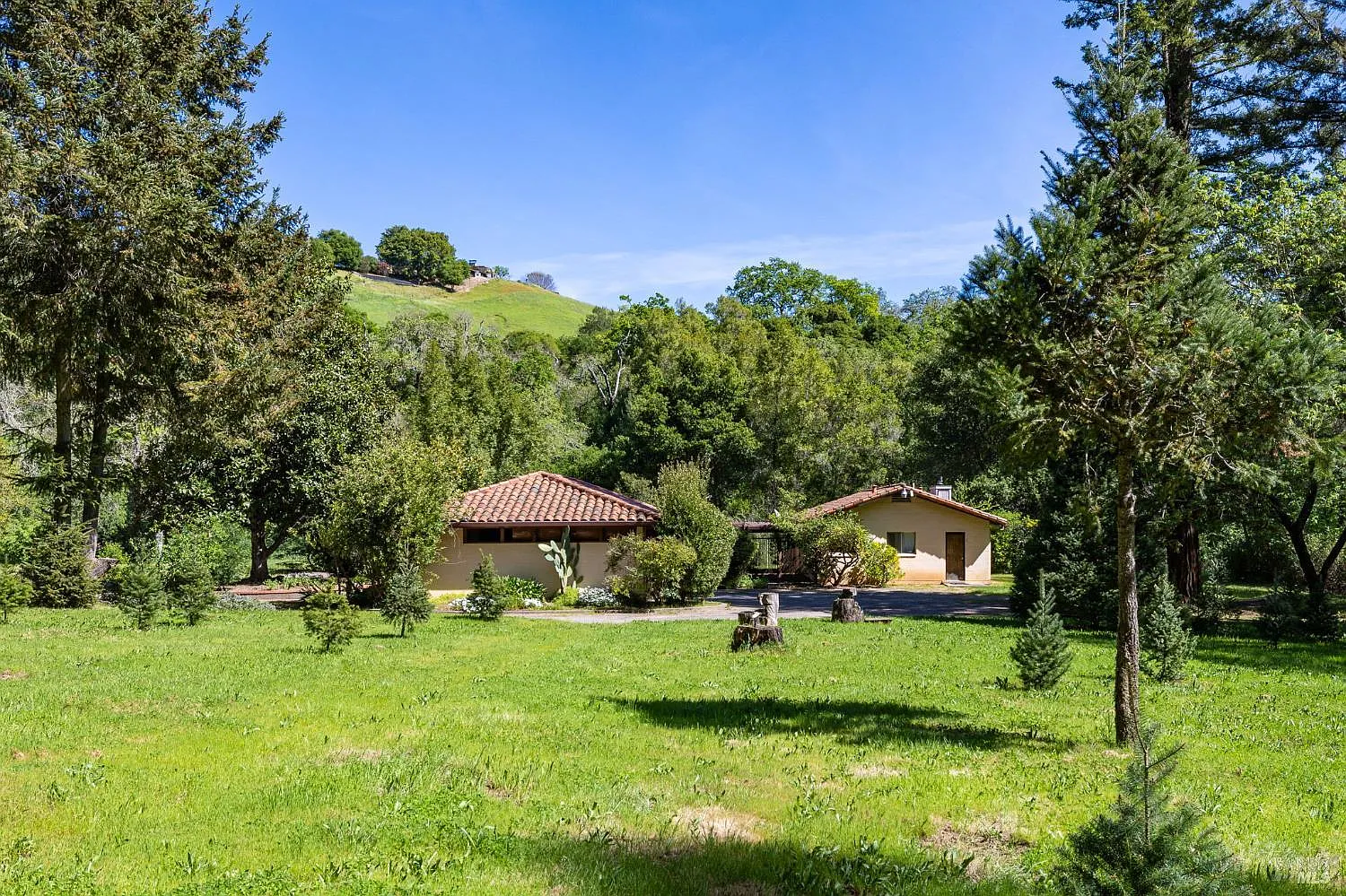3320 Redwood Road - Photo 9