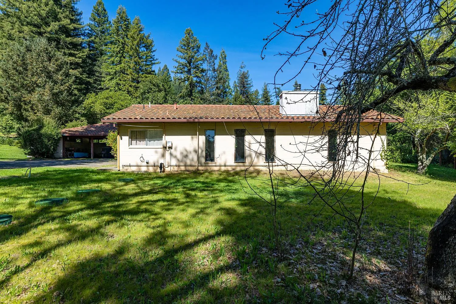 3320 Redwood Road - Photo 10
