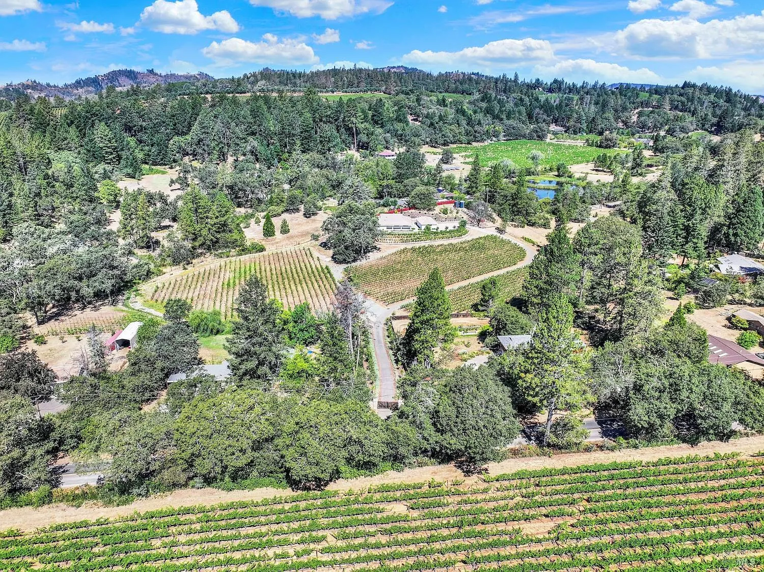 875 White Cottage Road N - Photo 3