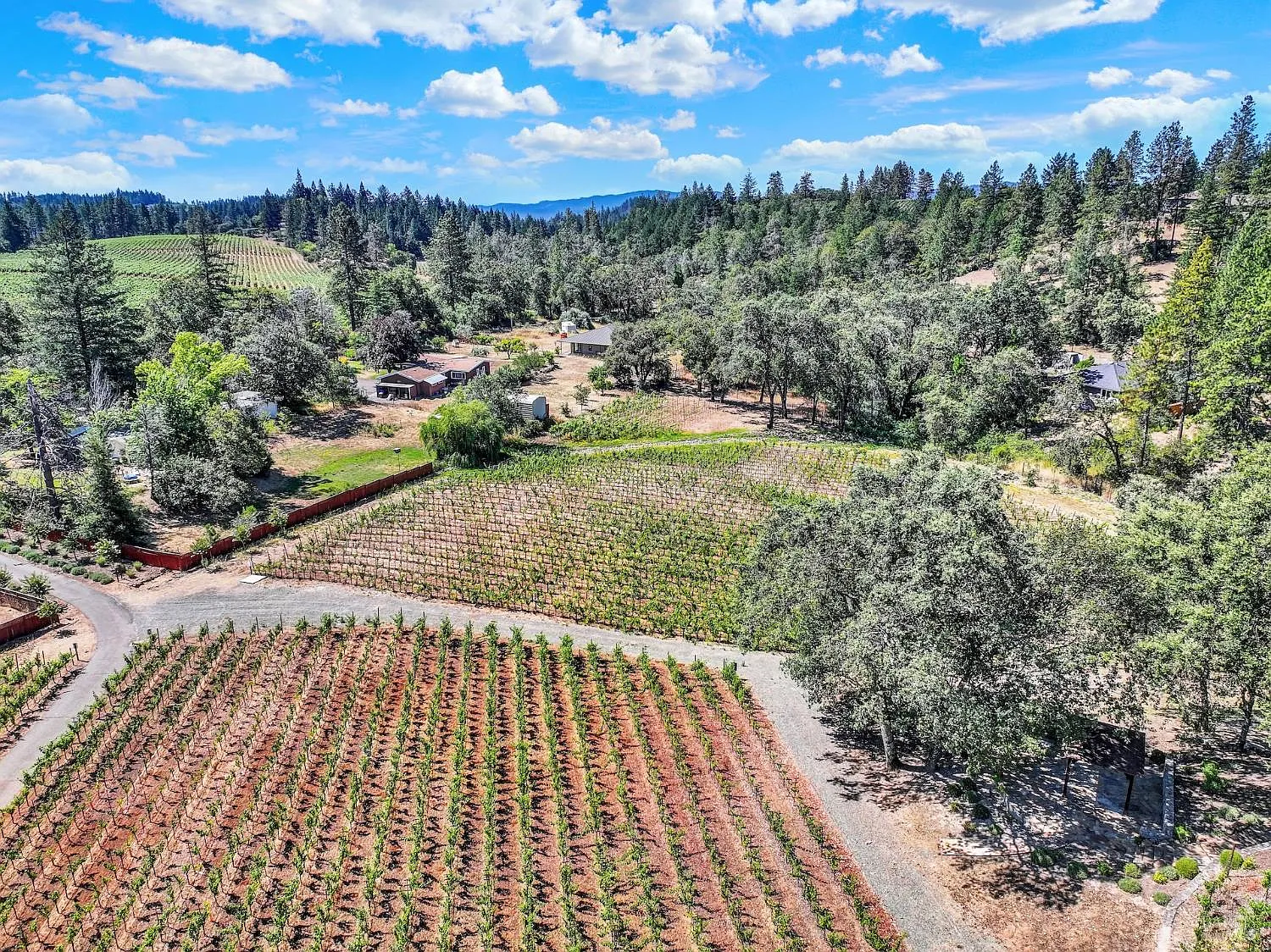 875 White Cottage Road N - Photo 6