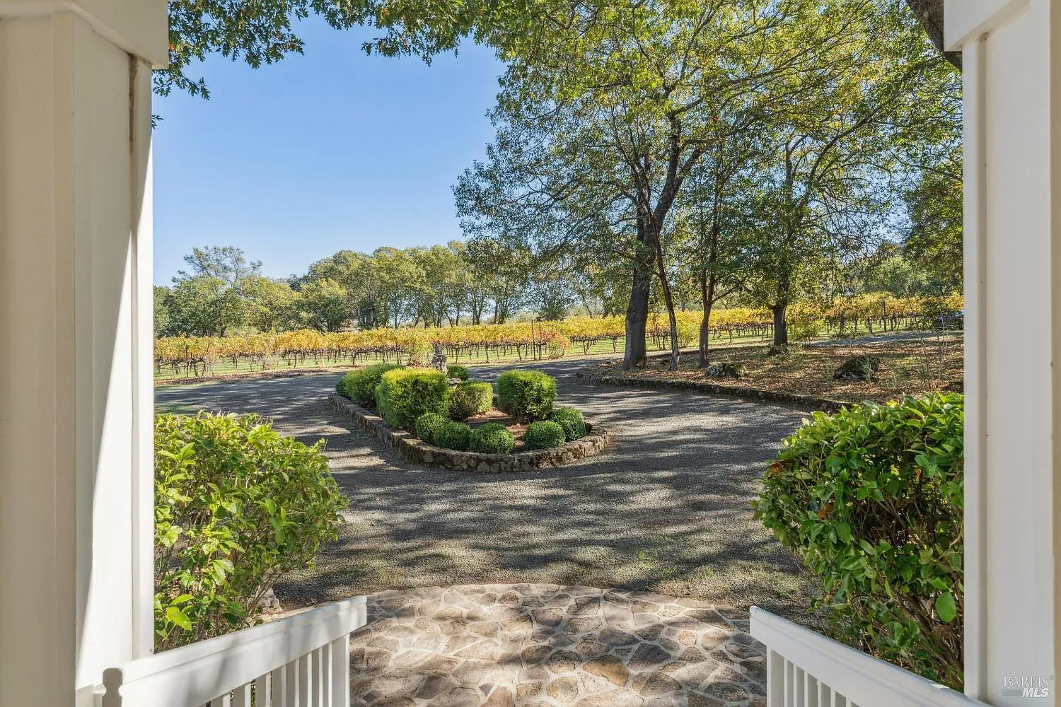 3265 Soda Canyon Road - Photo 4
