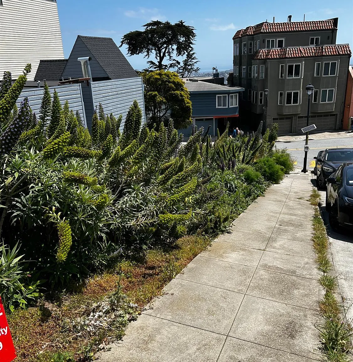 892 Corbett Ave - Photo 1