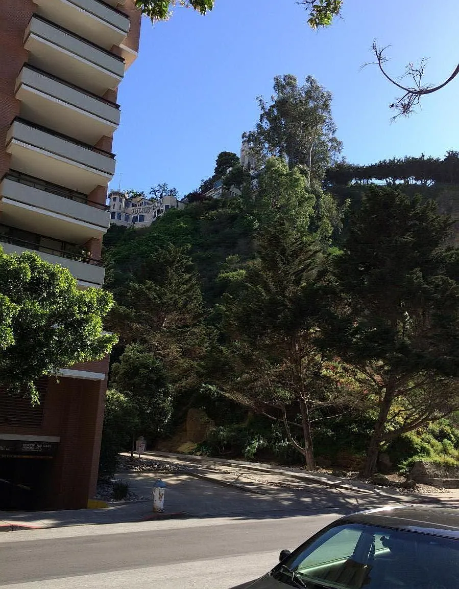 240 Lombard St APT 235 - Photo 9