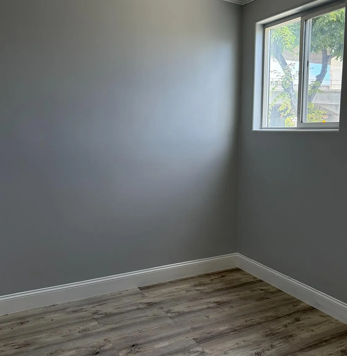 766 Thornton Ave - Photo 5