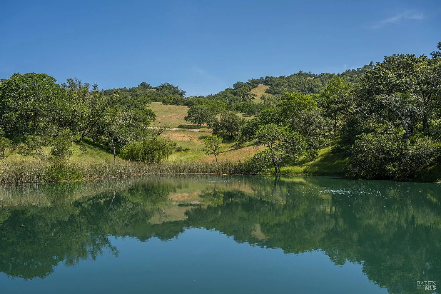 3866 Lovall Valley Road - Photo 3