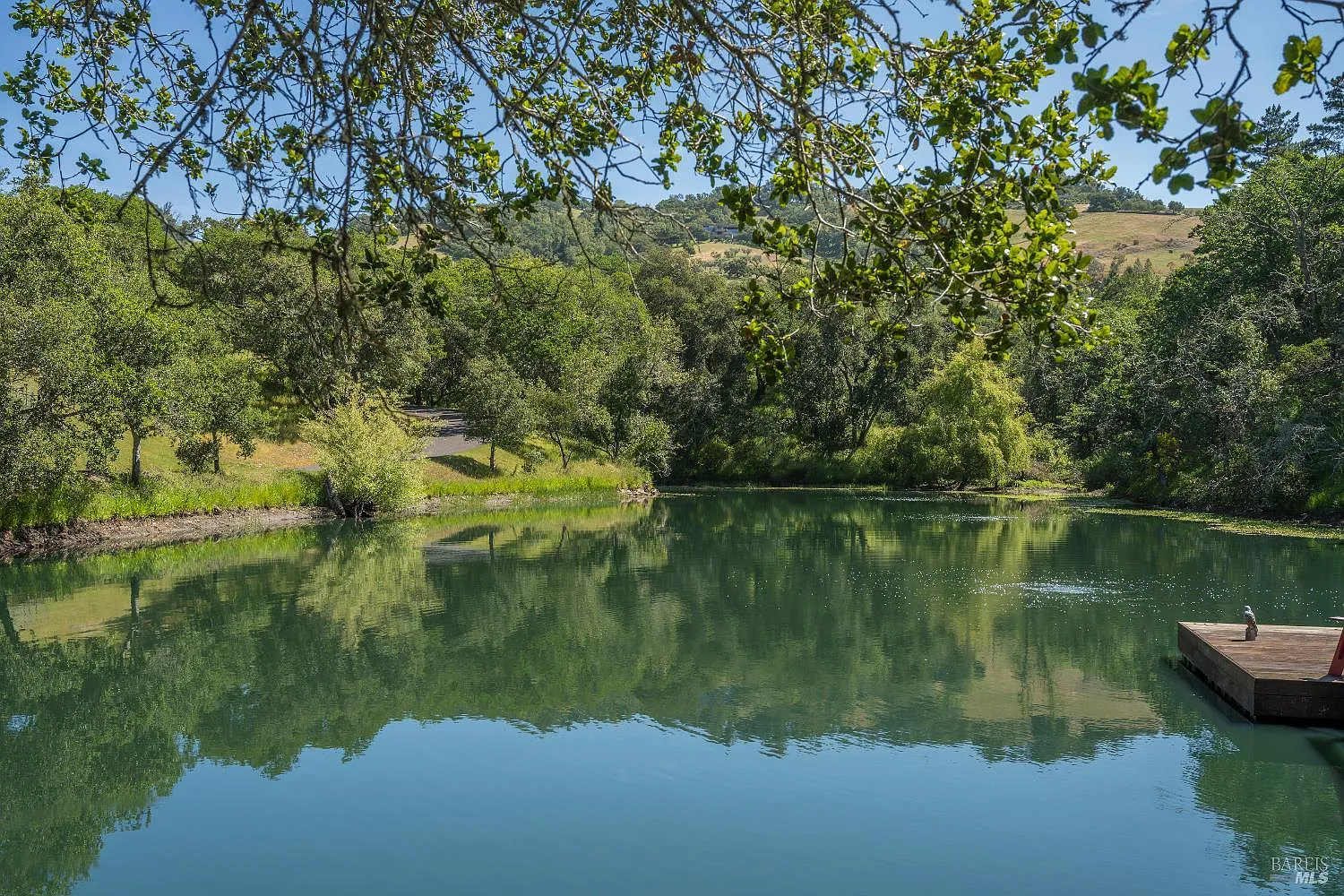 3866 Lovall Valley Road - Photo 4