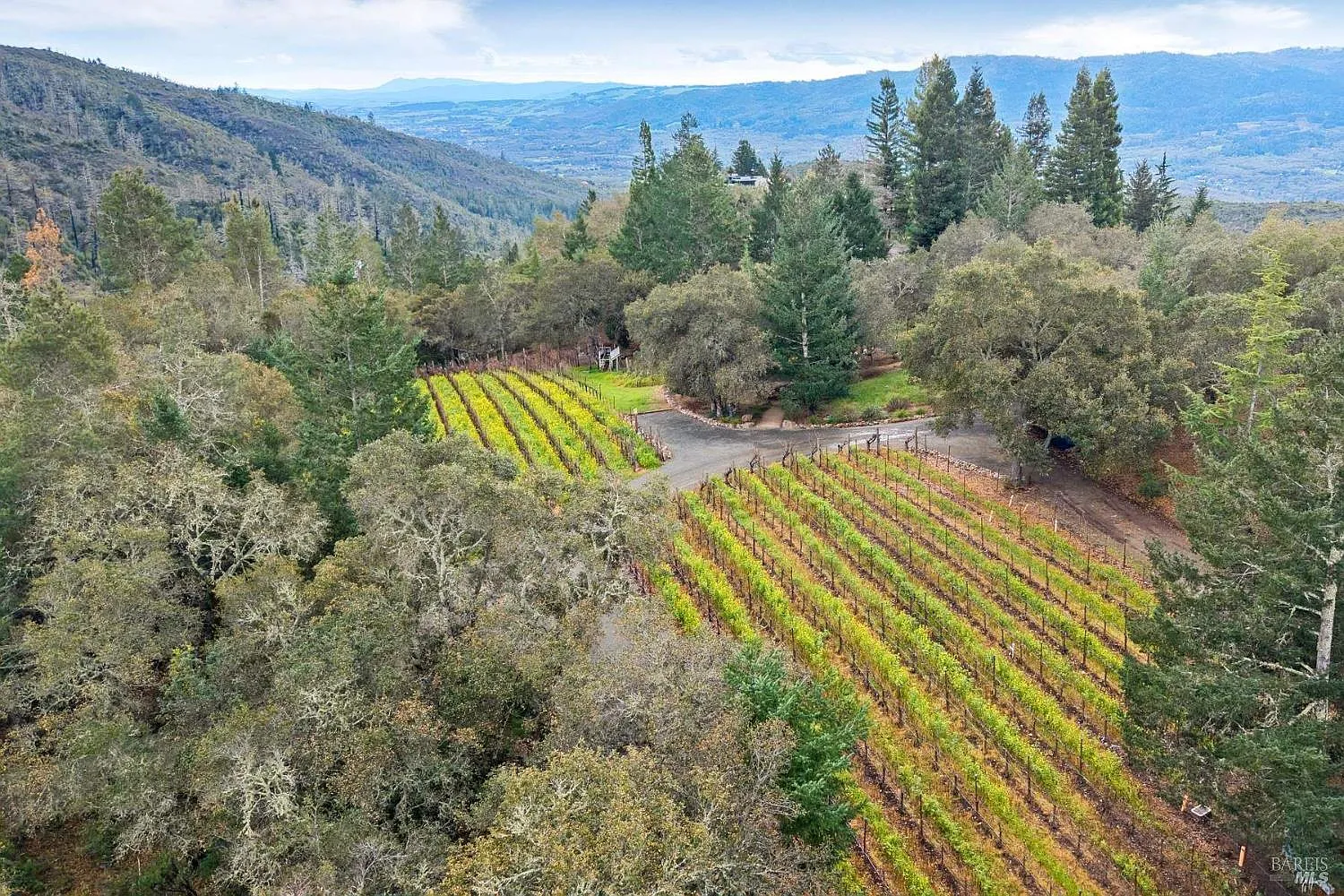 2557 Trinity Road - Photo 3