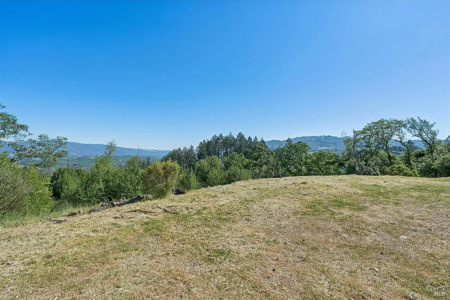2717 Bennett Ridge Road - Photo 2
