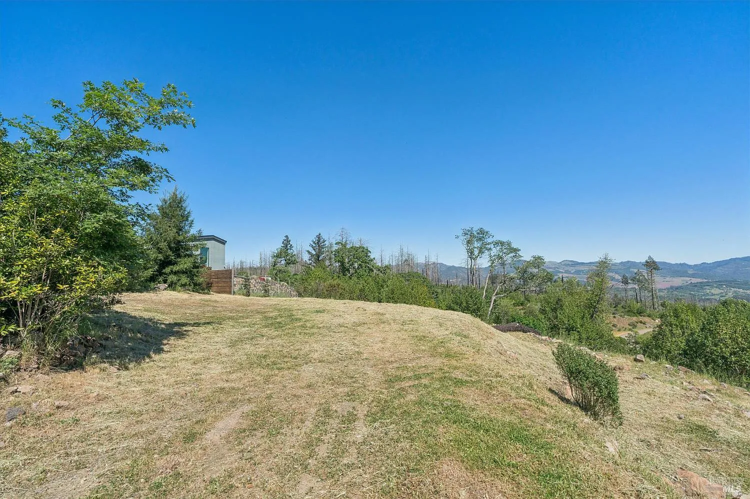 2717 Bennett Ridge Road - Photo 3