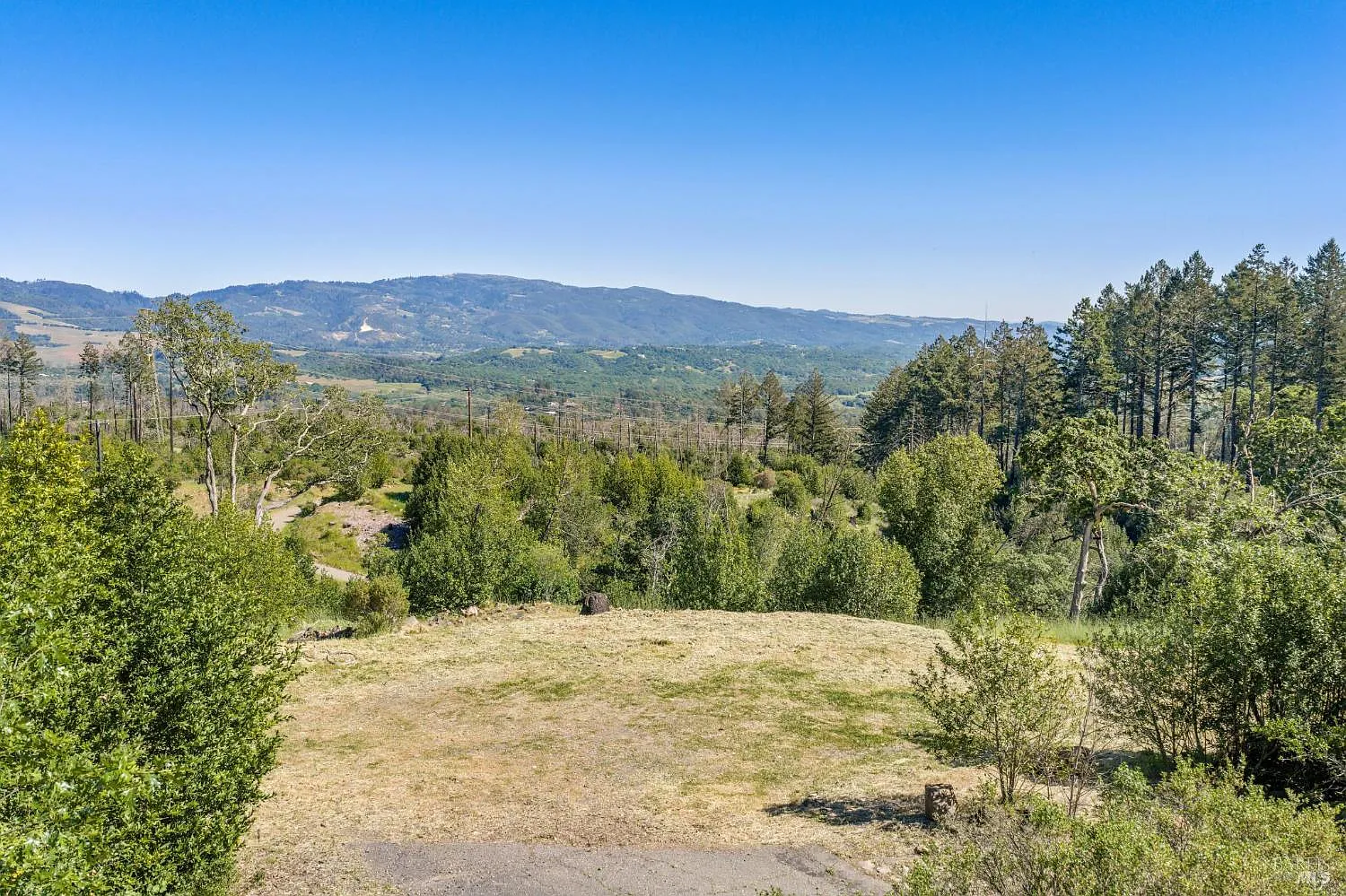 2717 Bennett Ridge Road - Photo 4