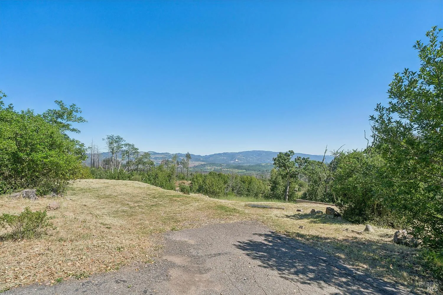 2717 Bennett Ridge Road - Photo 5