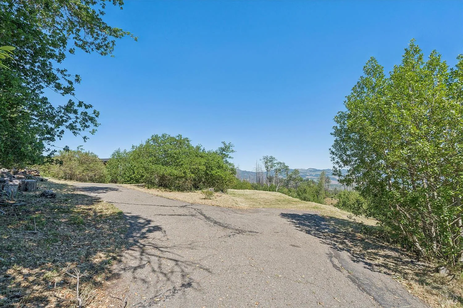 2717 Bennett Ridge Road - Photo 6