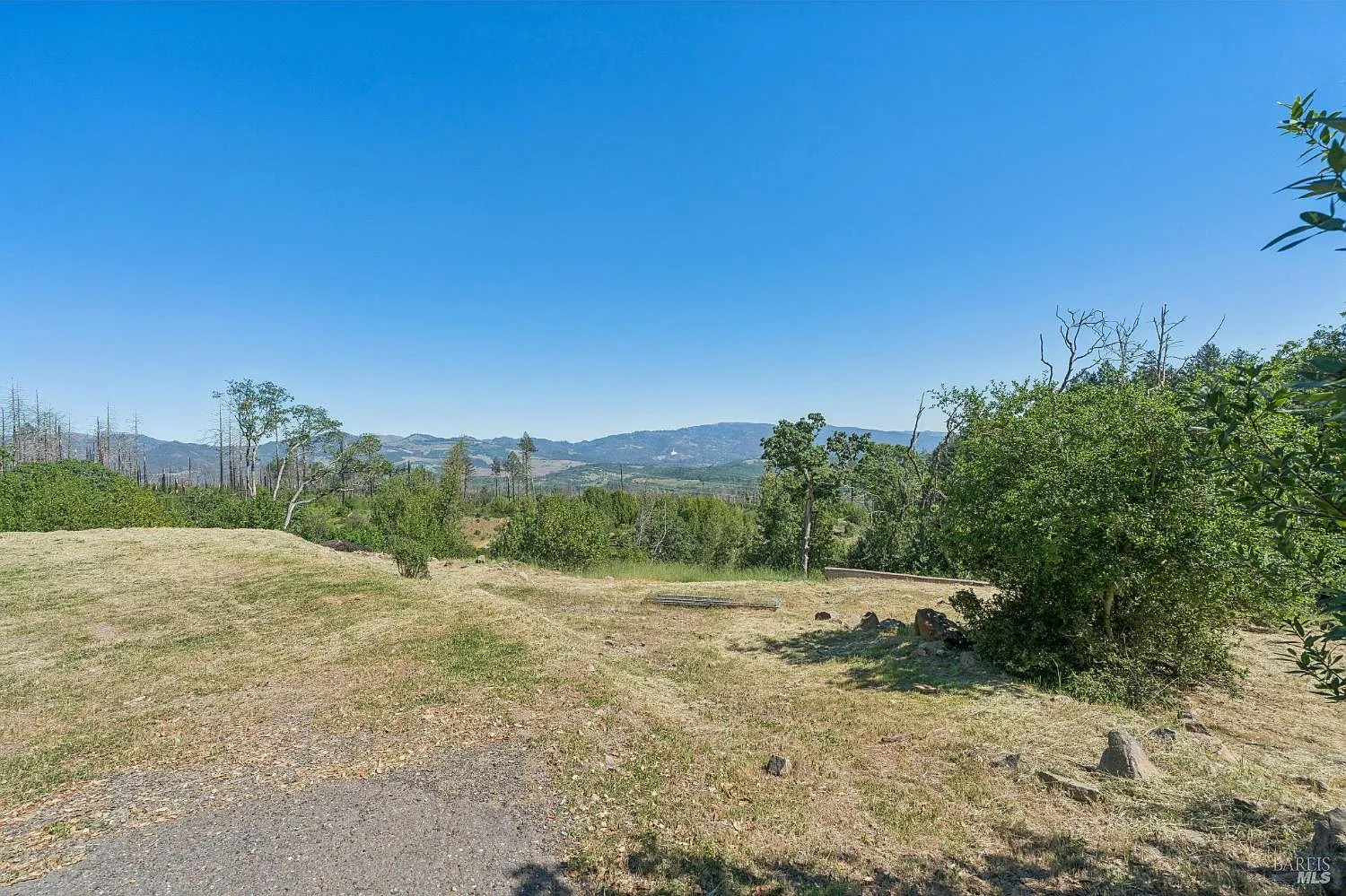 2717 Bennett Ridge Road - Photo 7