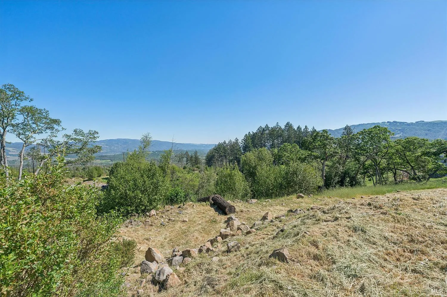 2717 Bennett Ridge Road - Photo 8