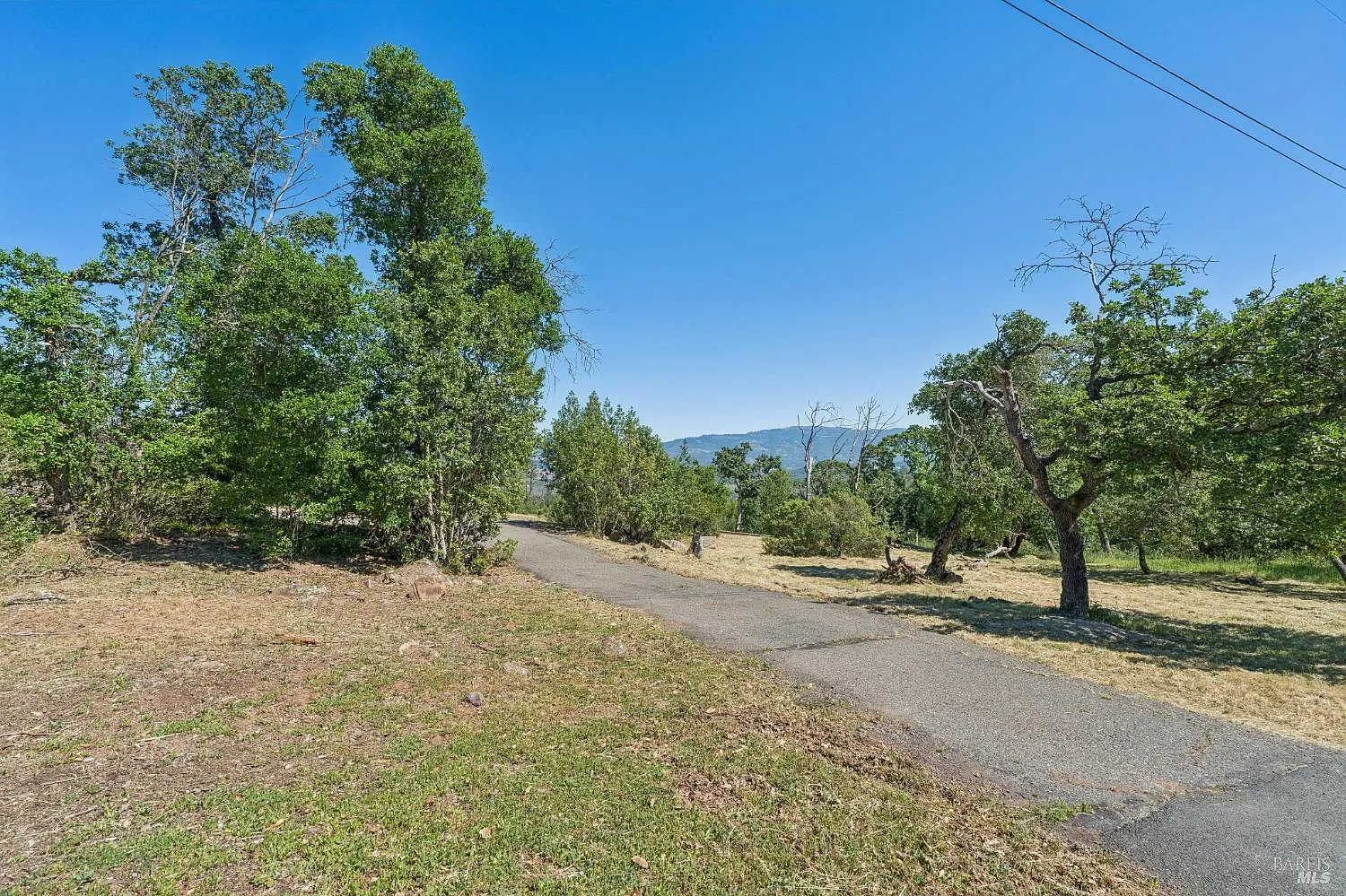 2717 Bennett Ridge Road - Photo 9