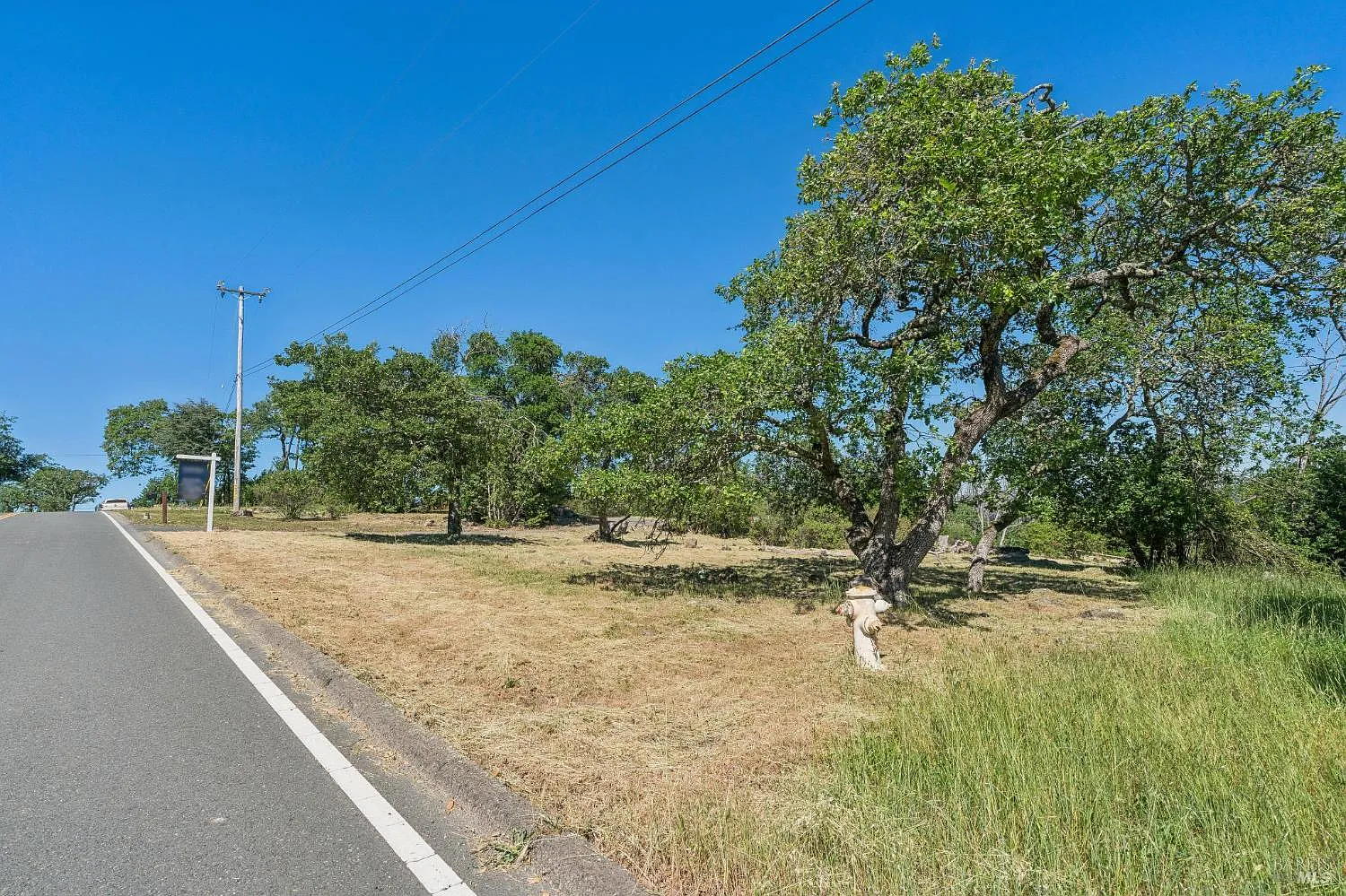 2717 Bennett Ridge Road - Photo 10