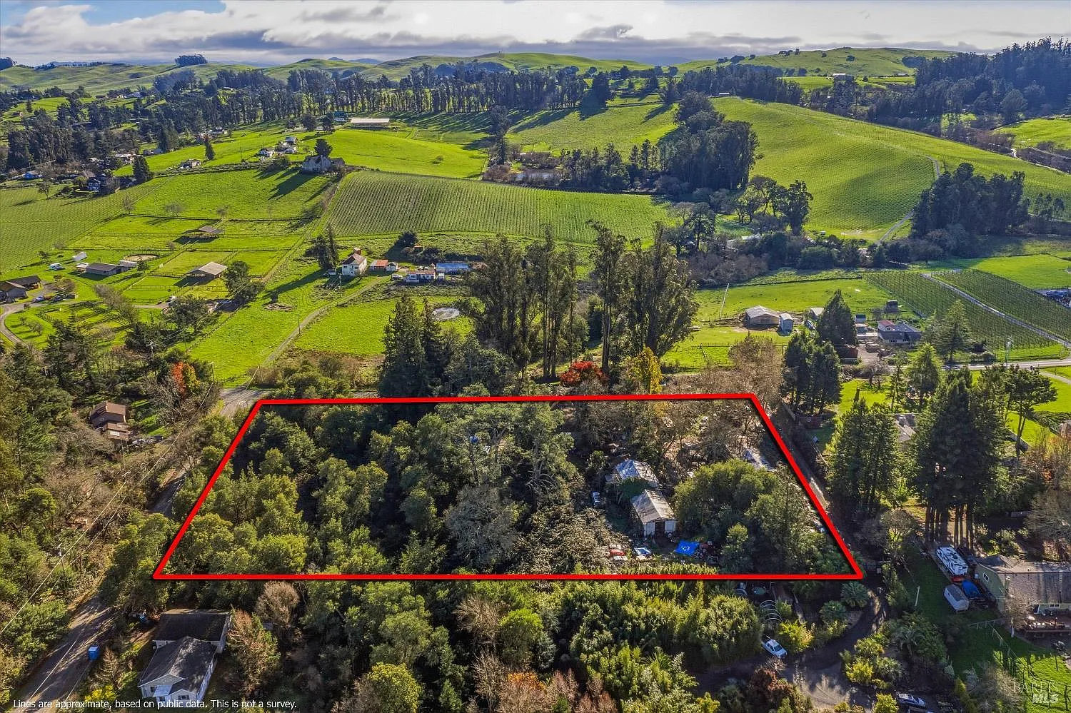 5070 Blank Road - Photo 12