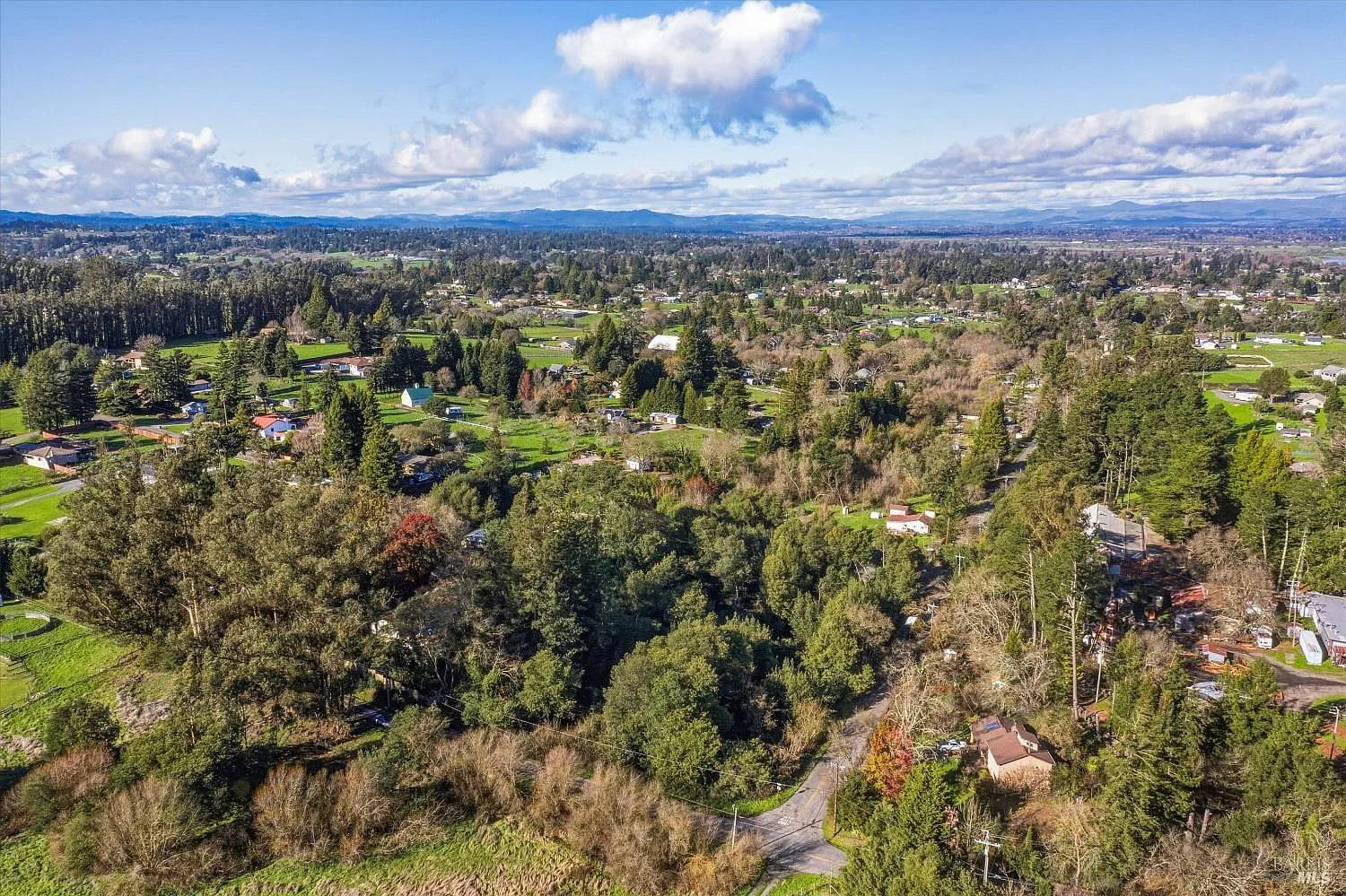 5070 Blank Road - Photo 3