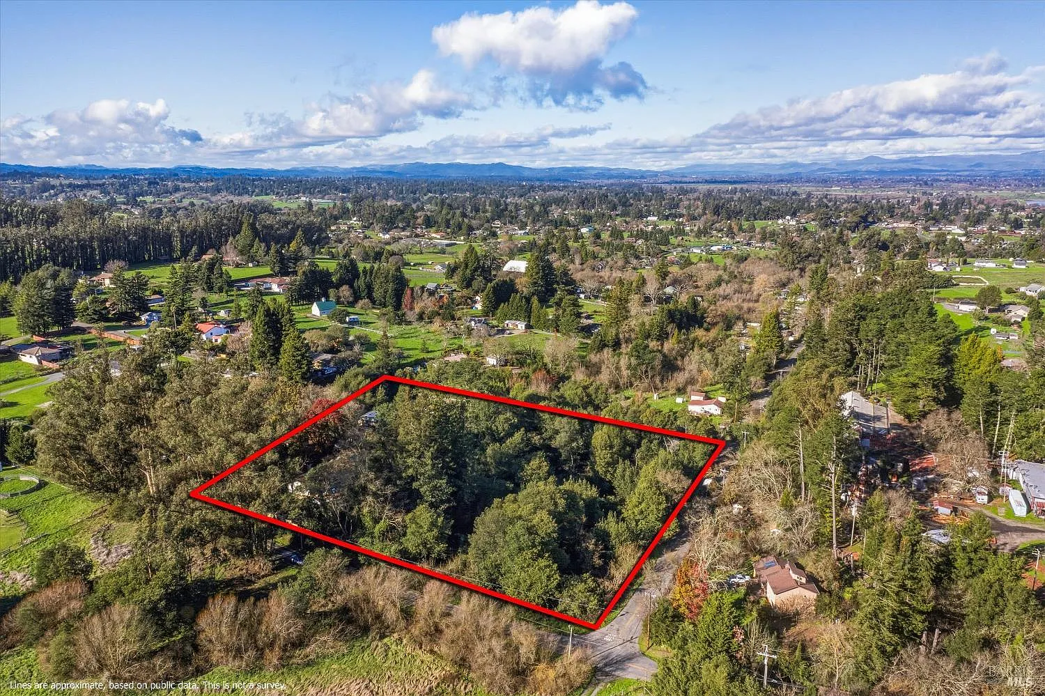 5070 Blank Road - Photo 4