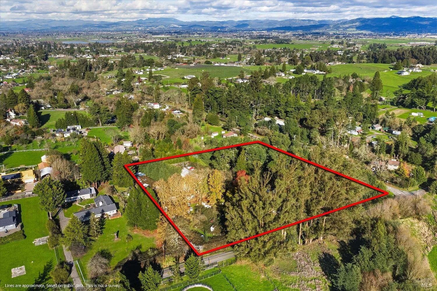 5070 Blank Road - Photo 6