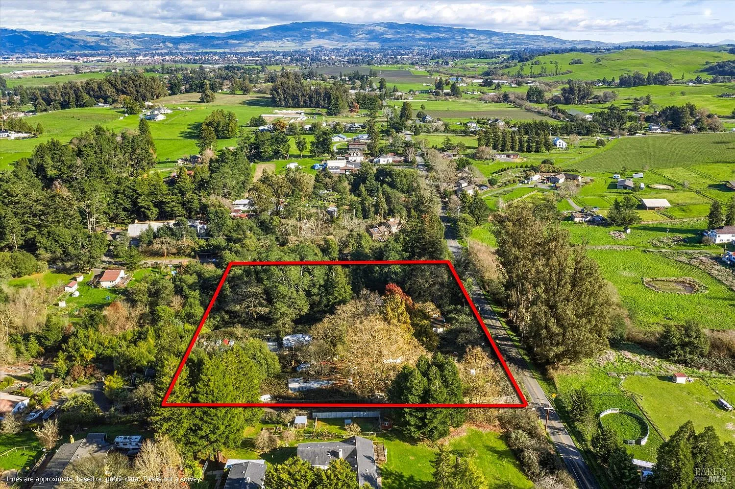 5070 Blank Road - Photo 8