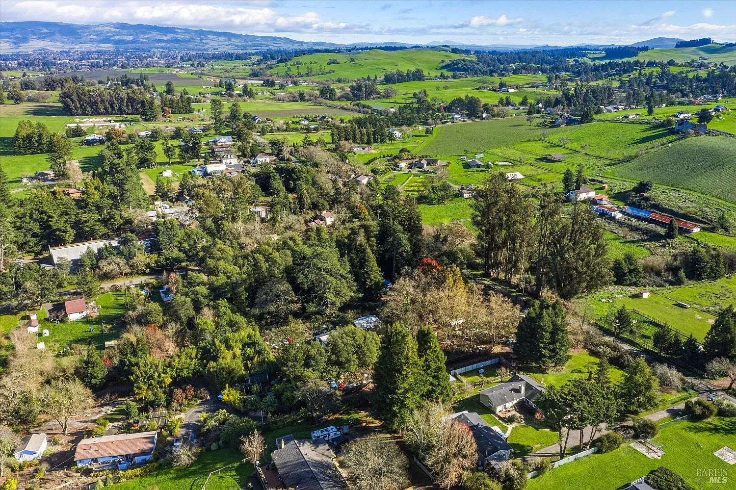 5070 Blank Road - Photo 9