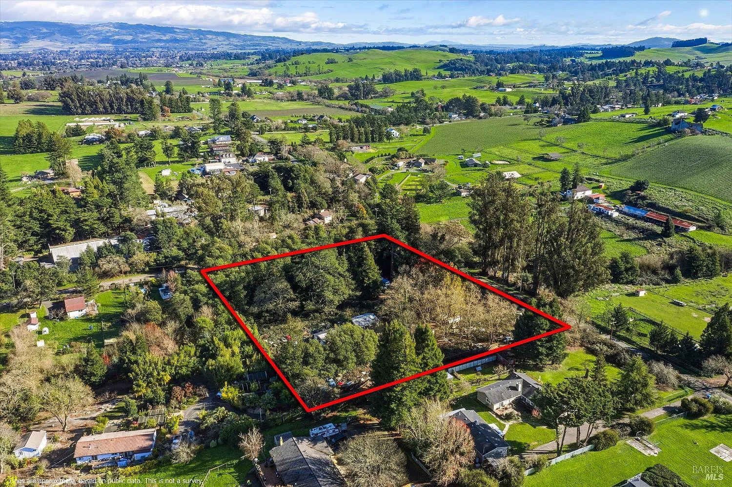 5070 Blank Road - Photo 10