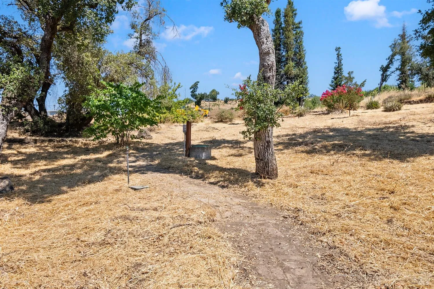 1777 Crystal Springs Court - Photo 12