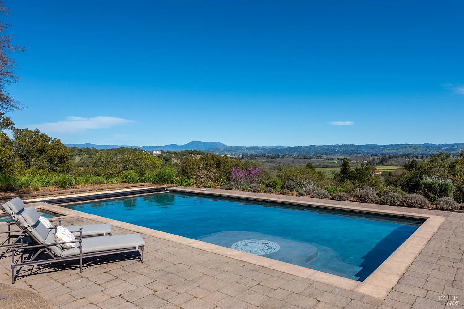 2405 Lewis Drive - Photo 4
