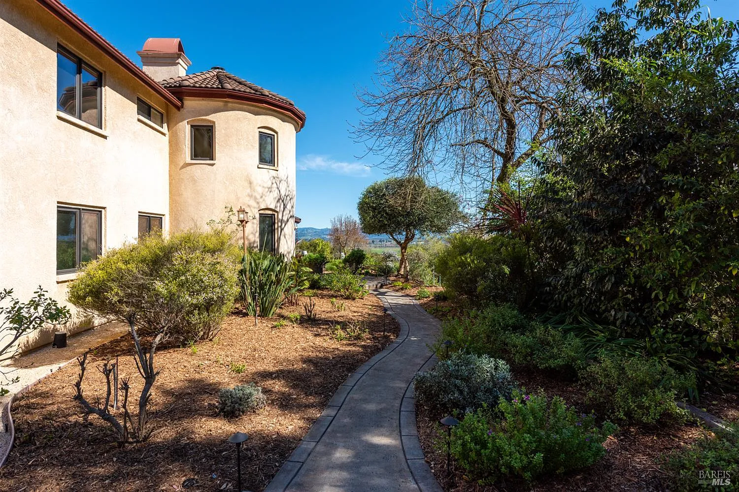 2405 Lewis Drive - Photo 8