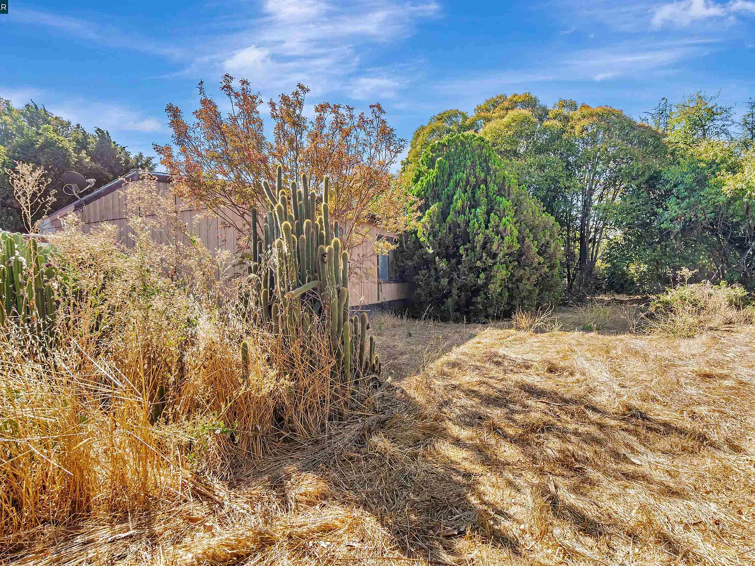 21200 Silva Rd - Photo 2