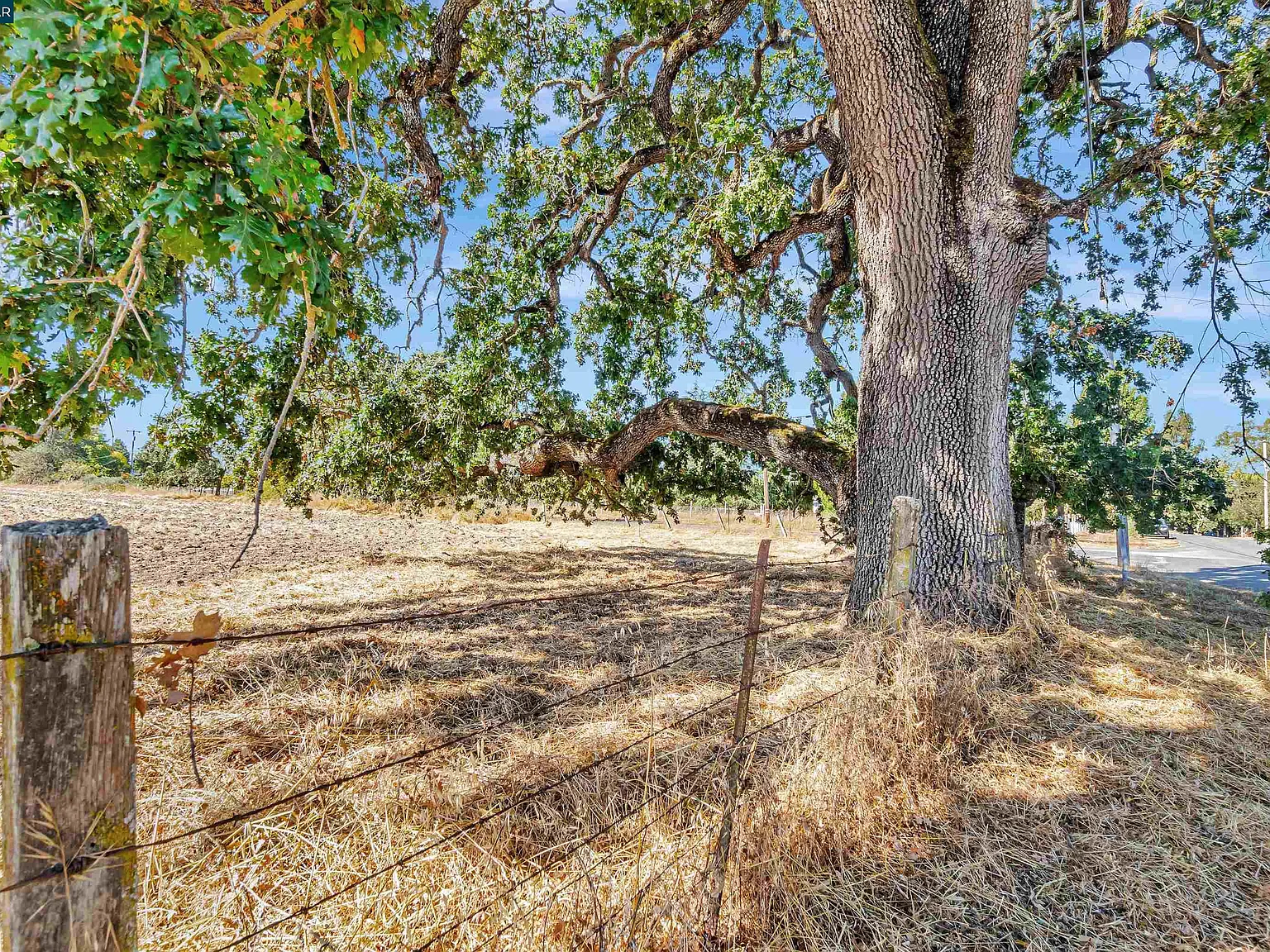 21200 Silva Rd - Photo 11
