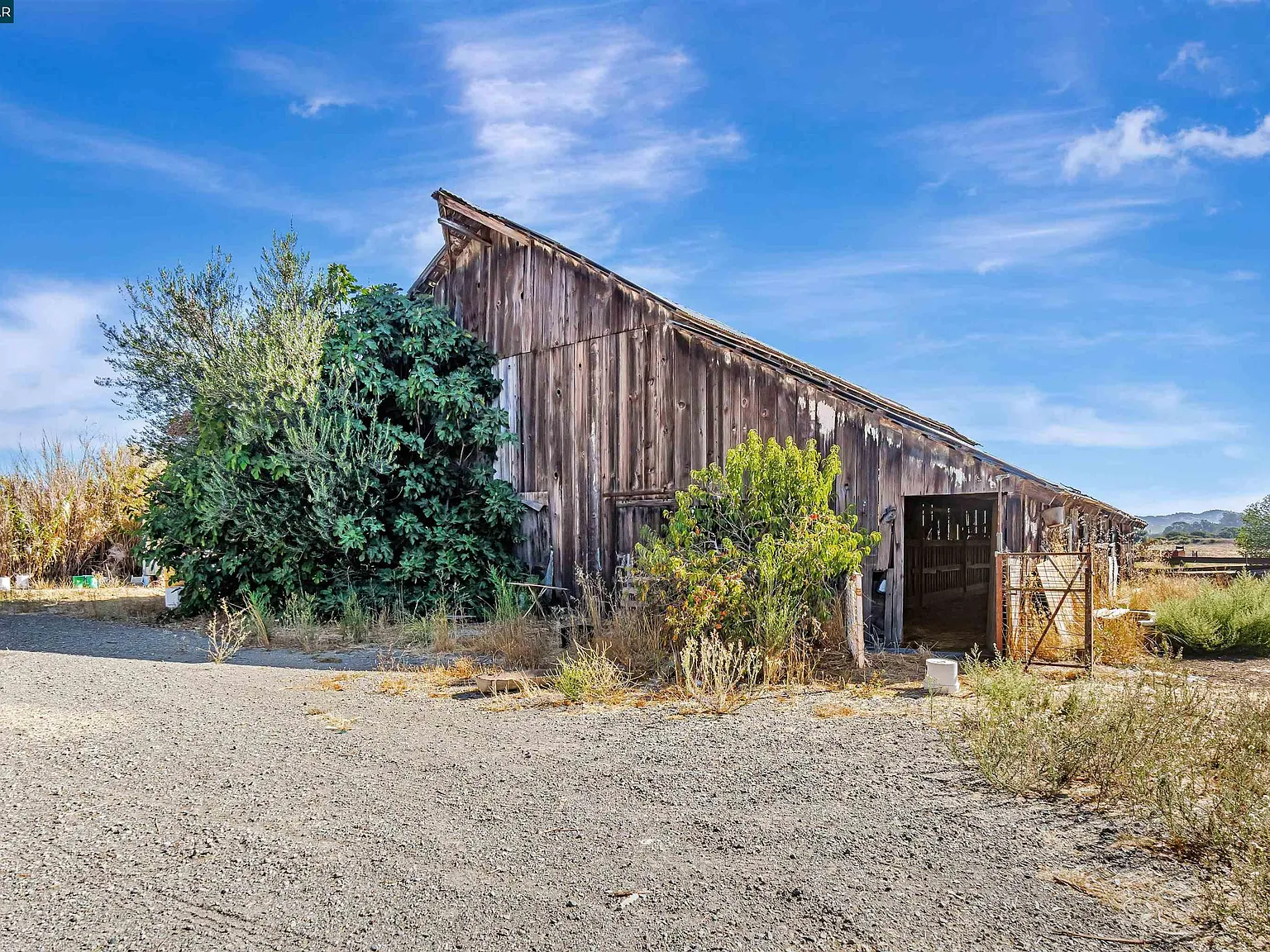 21200 Silva Rd - Photo 4